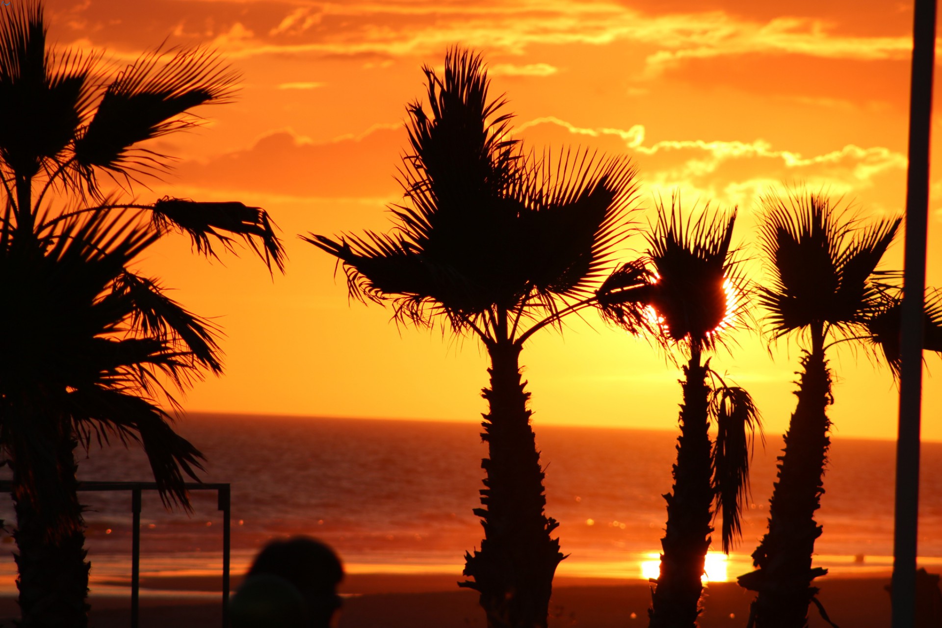 Atardecer playa Doñana