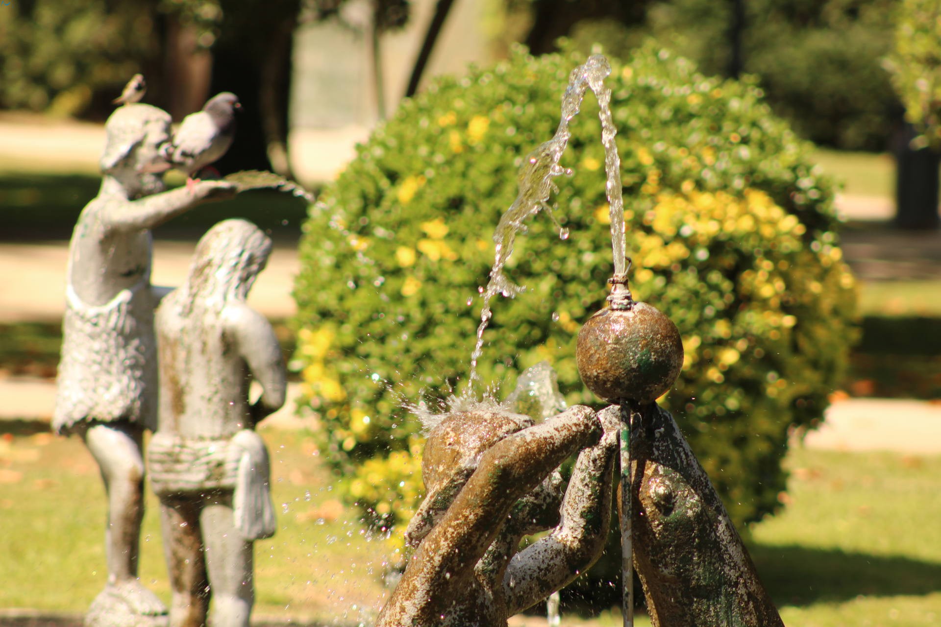 Fuente con Aves en Oporto