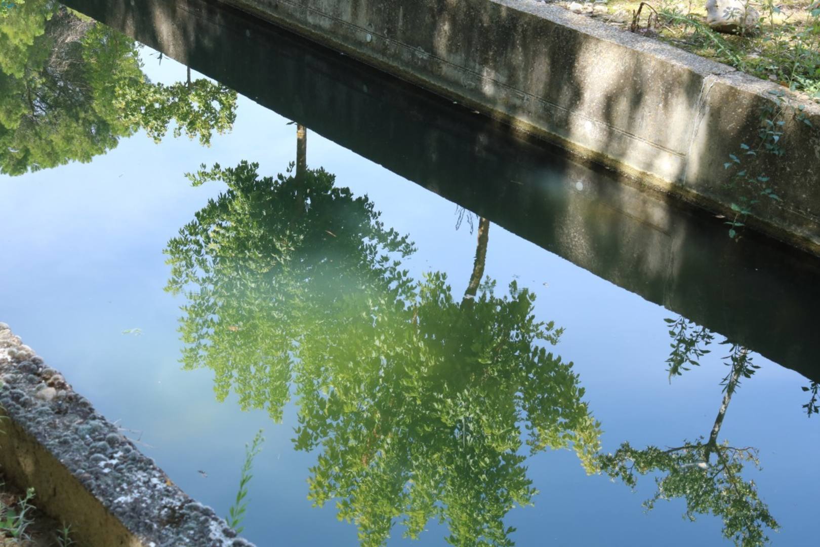 Reflejos sobre el canal