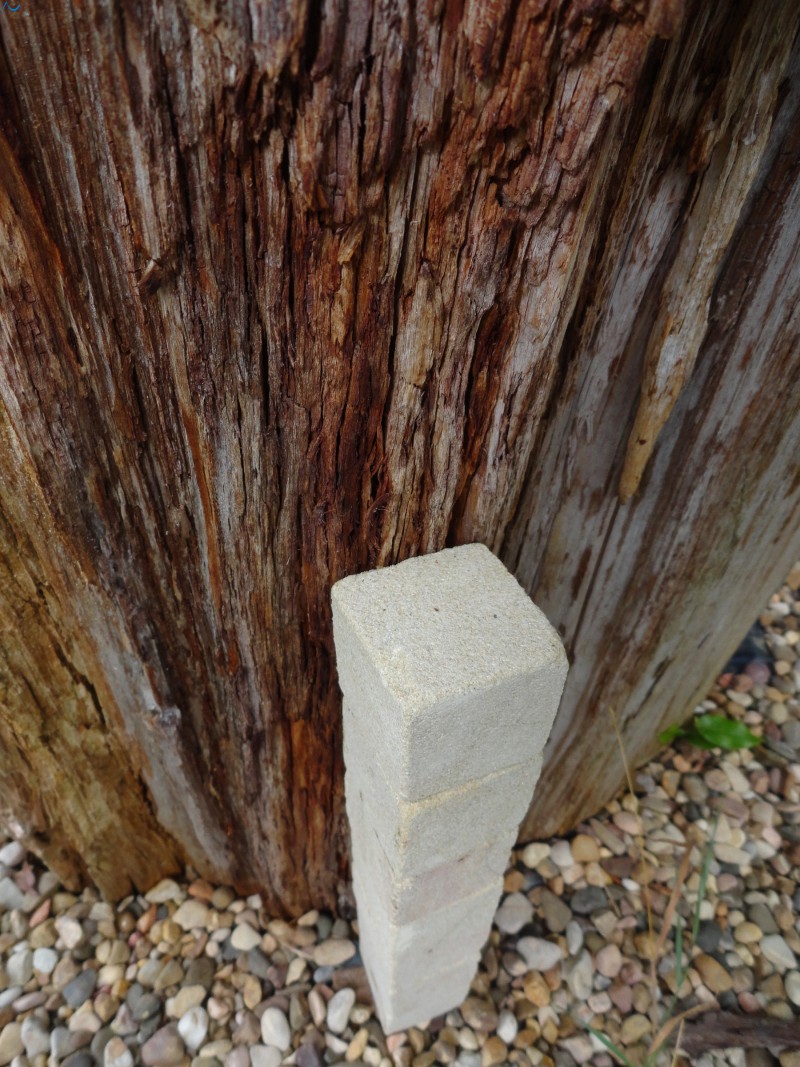 Piedras varias  y árbol