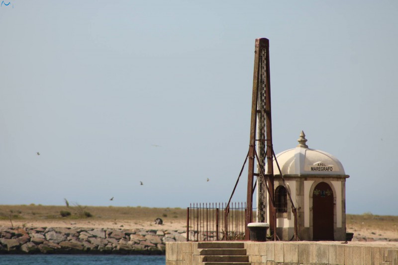 Mareógrafo Oporto