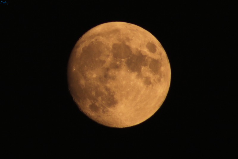 Luna de fin de verano