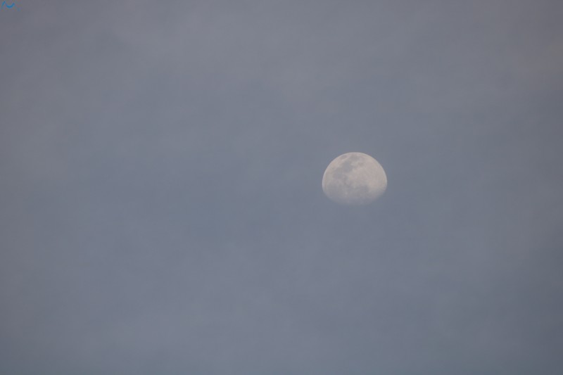 Durante la cuarentena