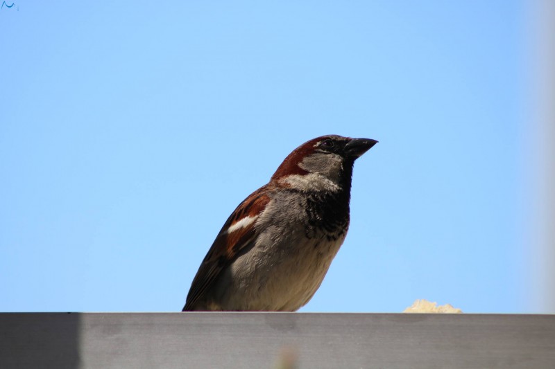 Procedimiento correcto 3/4