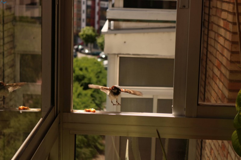 Elegante toma de ventana