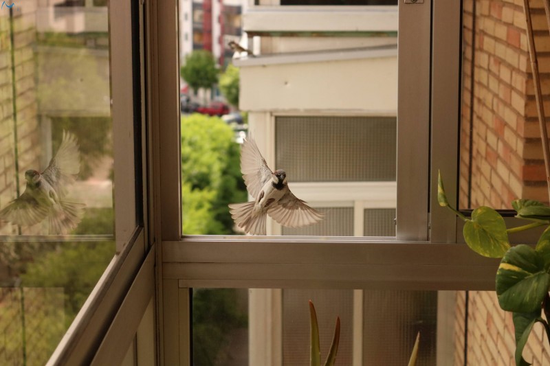 Elegante toma de ventana
