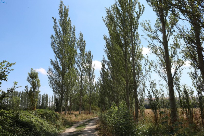 Paseo por Sotopalacios