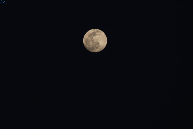 Luna en Burgos