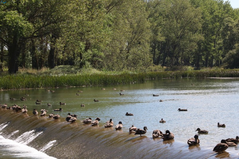 Paseo por fuentes blancas