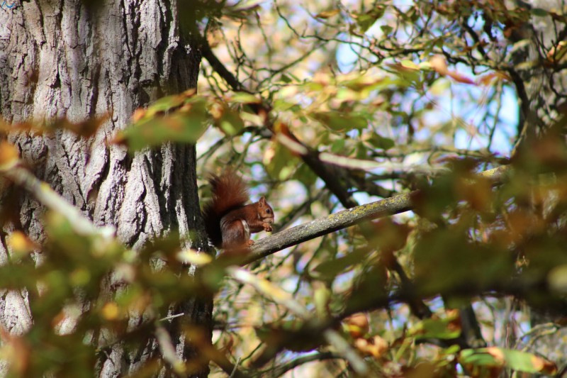 Paseo por fuentes blancas