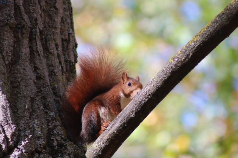 Paseo por fuentes blancas