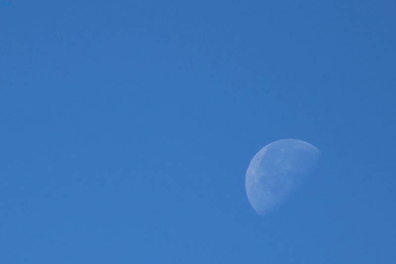 La luna tardía