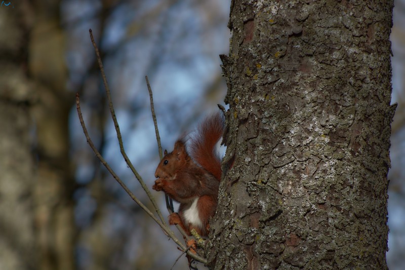 Paseo por fuentes blancas