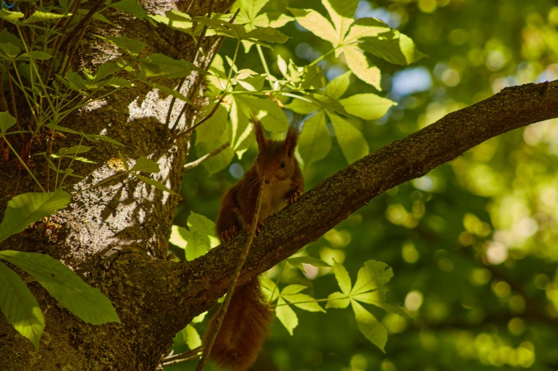 Paseo por fuentes blancas