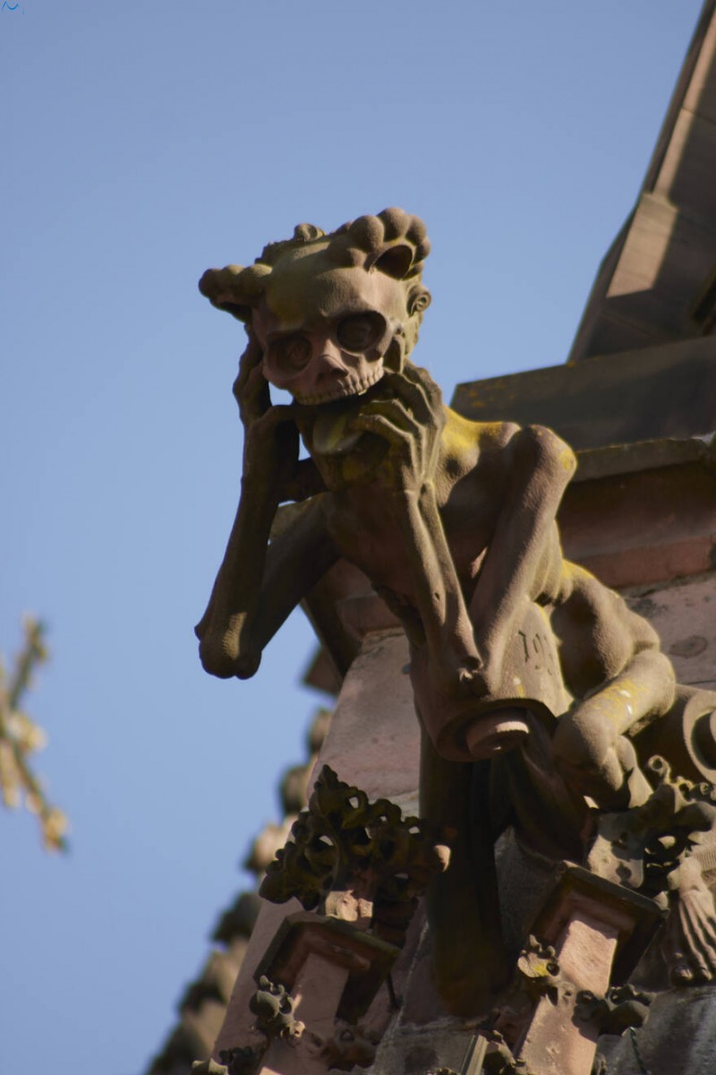 Catedral de Friburgo