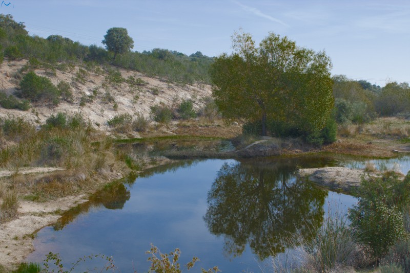 Paisaje con reflejo