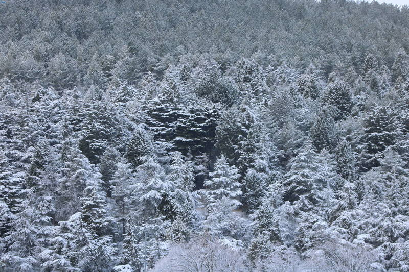 Primeras nieves del 2017