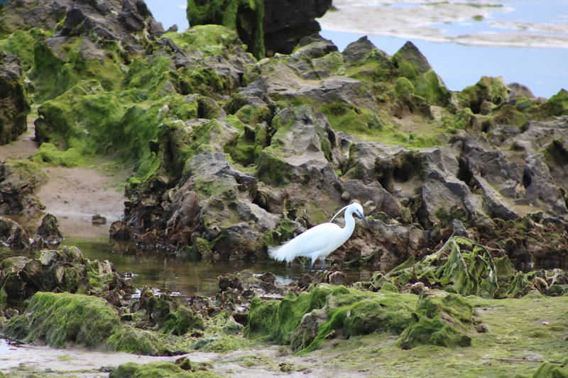 Foto tomada en Cantabria