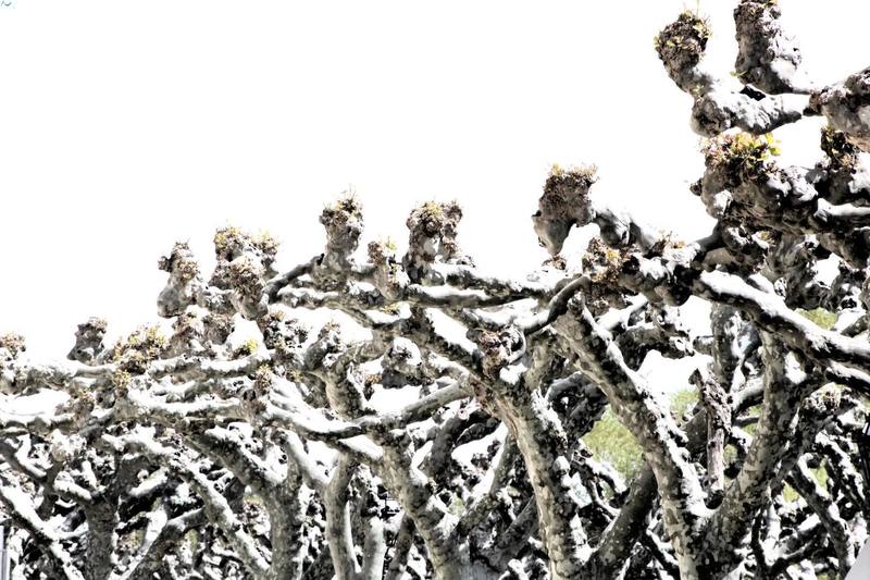 Paseo de la Isla, Burgos