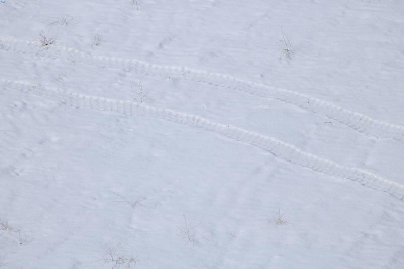 Primeras nieves del 2017