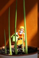 Iluminación sobre la planta