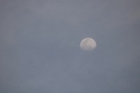 Durante la cuarentena