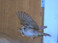 y yo me quedo en casa  #QuedateEnCasa