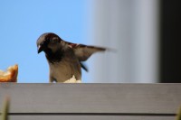 Procedimiento correcto 1/4