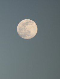 Luna del gusano desde Burgos