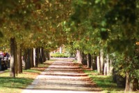 Paseo por fuentes blancas