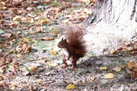 Paseo por fuentes blancas