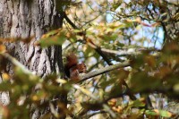 Paseo por fuentes blancas