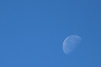 La luna tardía