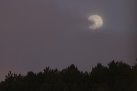 Luna blanca de diciembre