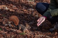 Paseo por fuentes blancas