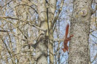 Paseo por fuentes blancas