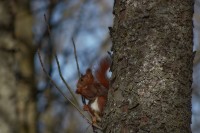 Paseo por fuentes blancas