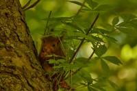 Paseo por fuentes blancas